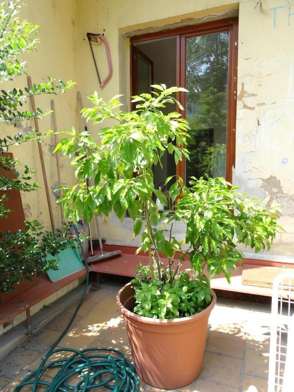 Garden Apartment On Art Nouveau Street In Central Prag Exterior foto